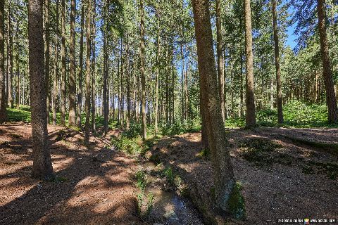 Gemeinde Pfarrkirchen Landkreis Rottal-Inn Krebsenbach (Dirschl Johann) Deutschland PAN